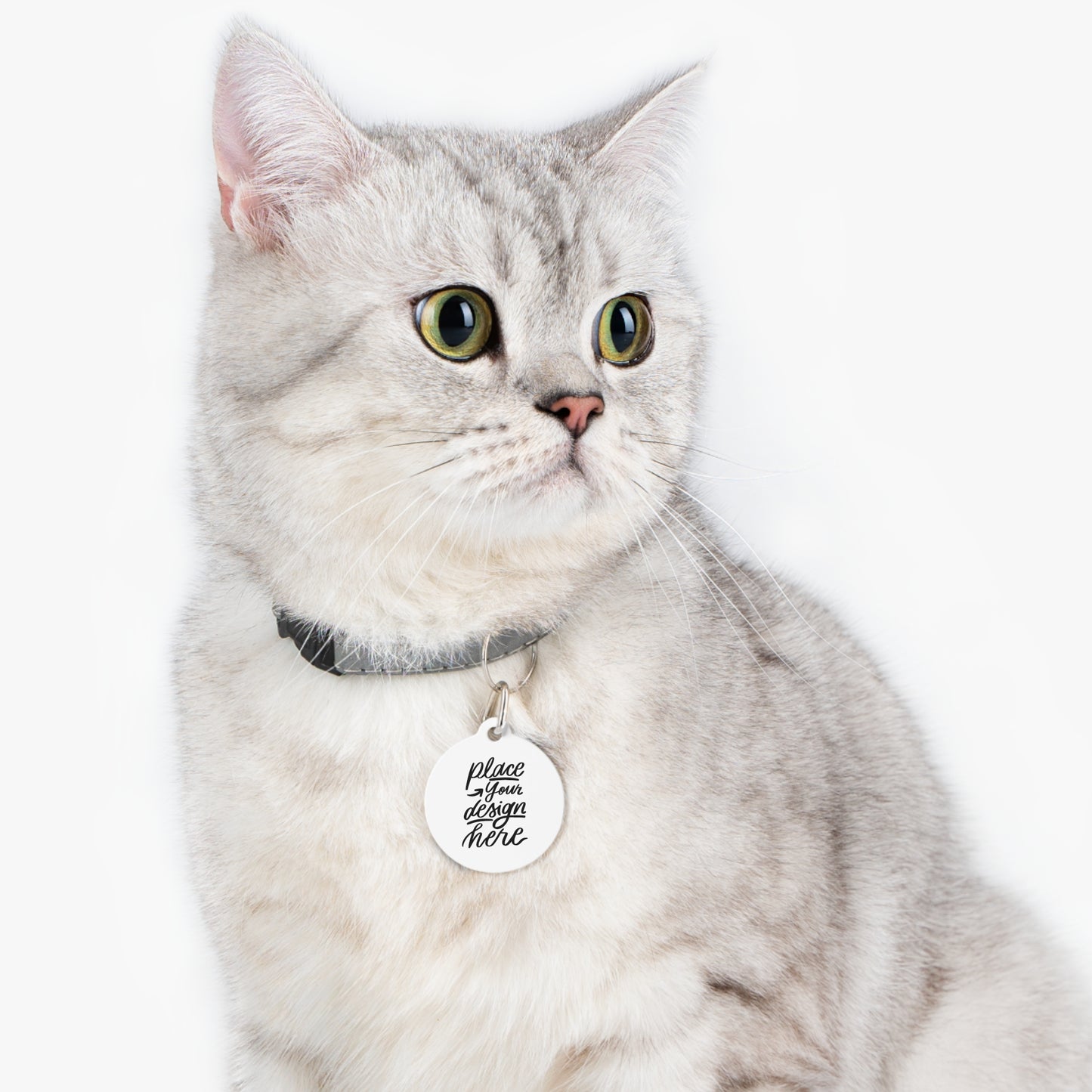 Round Pet ID Tag — Customizable Engraved Dog & Cat Collar Charm