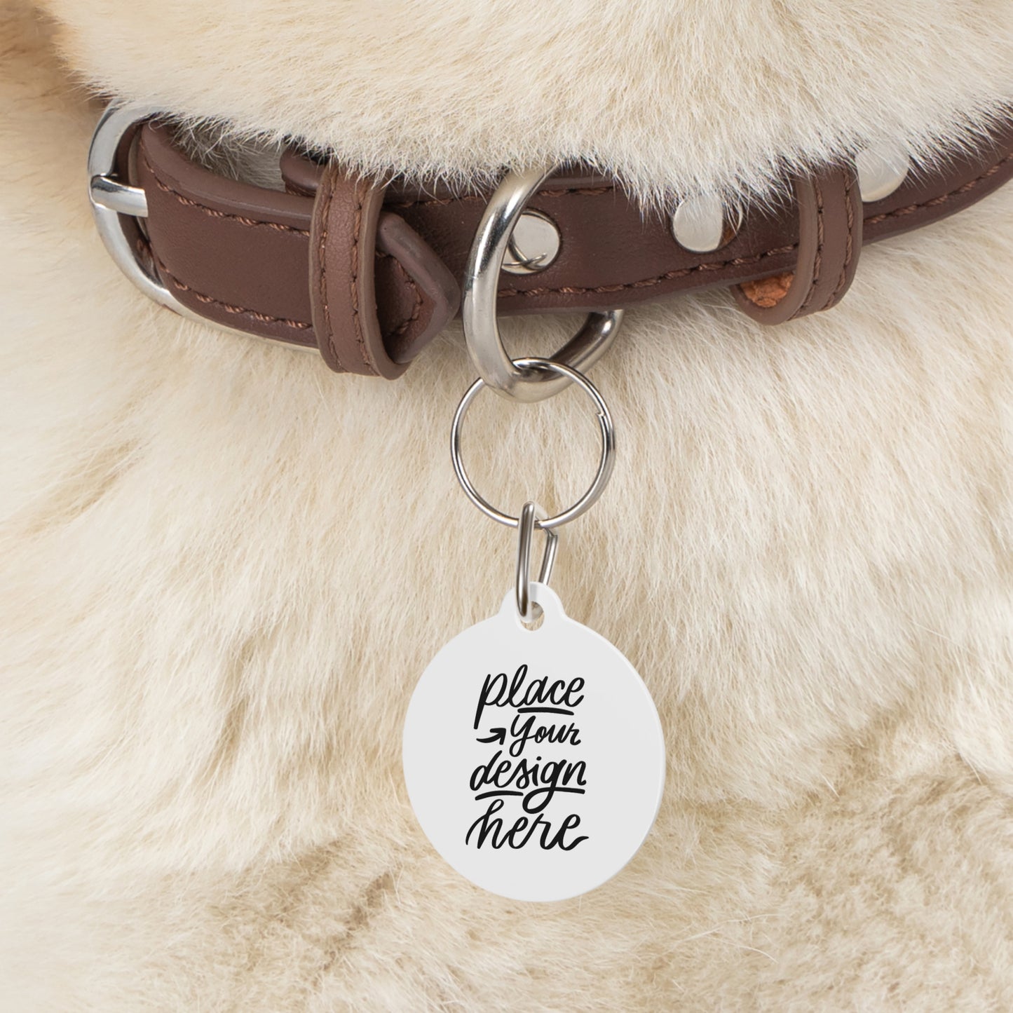 Round Pet ID Tag — Customizable Engraved Dog & Cat Collar Charm
