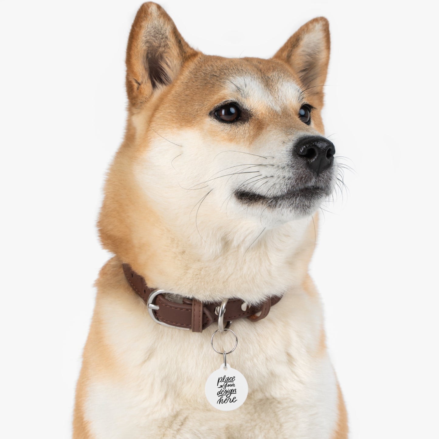 Round Pet ID Tag — Customizable Engraved Dog & Cat Collar Charm